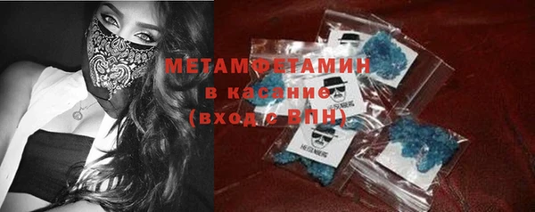 прущие грибы Лабытнанги