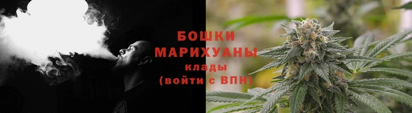 молекула духа Лихославль