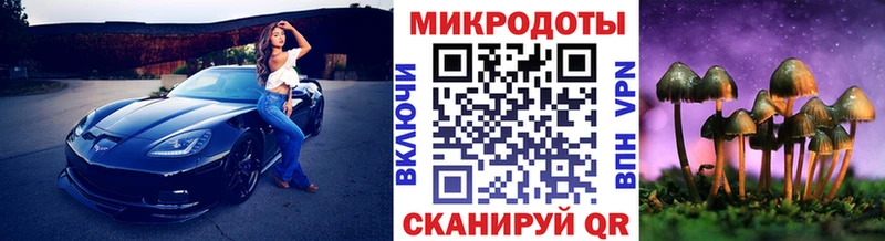 omg вход  Никольск  Псилоцибиновые грибы прущие грибы 