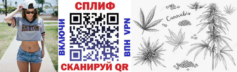 продажа наркотиков  Никольск  Канабис марихуана 